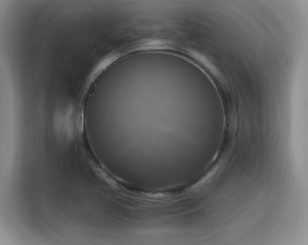 X0000115661413200911190956