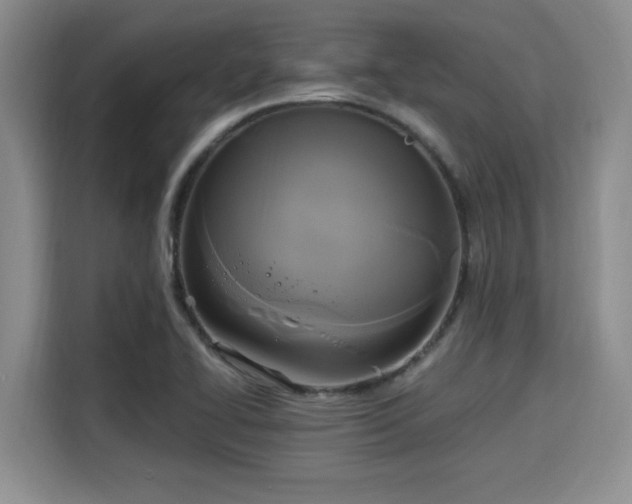 X0000115661414200911190956