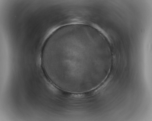 X0000115661415200911190956