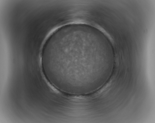 X0000115661416200911190956