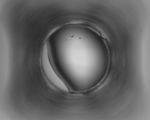 X0000115661417200911190956