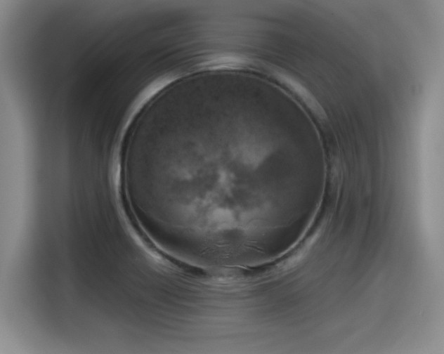 X0000115661418200911190956