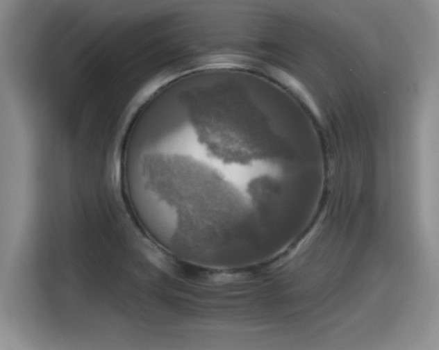 X0000115661419200911190956