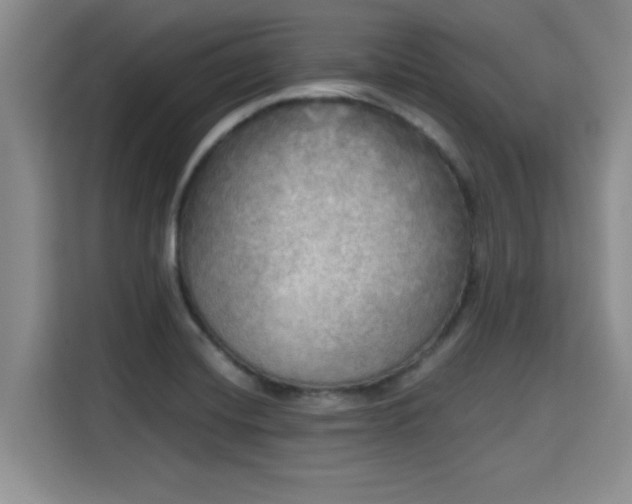 X0000115661420200911190956