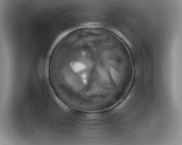 X0000115661421200911190956