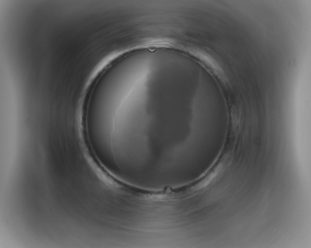 X0000115661422200911190956