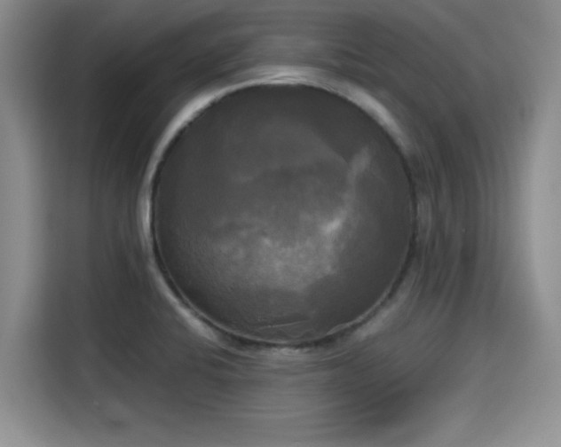 X0000115661424200911190956