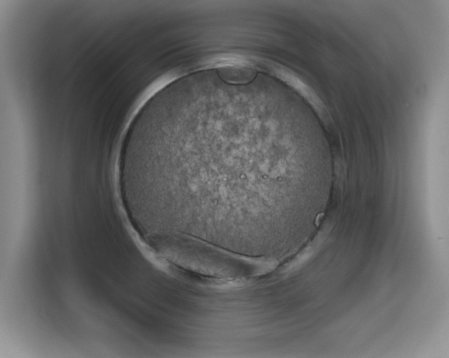 X0000115661426200911190956