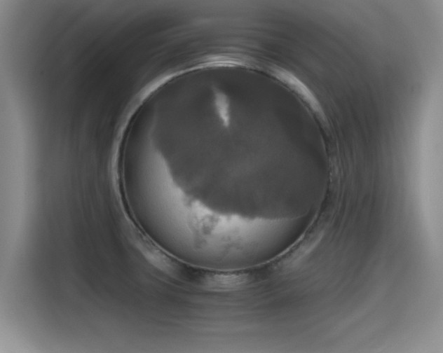 X0000115661427200911190956