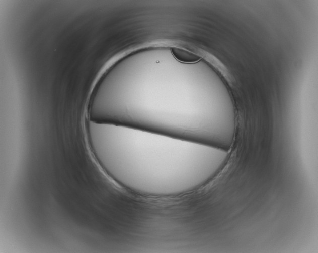 X0000115661428200911190956