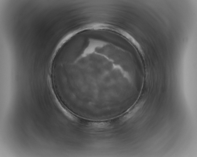 X0000115661429200911190956