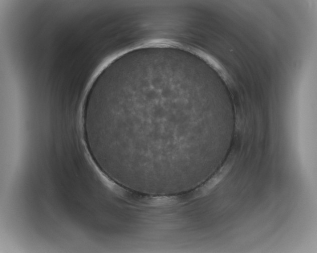 X0000115661430200911190956