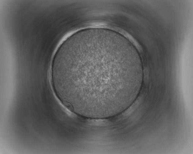 X0000115661432200911190956
