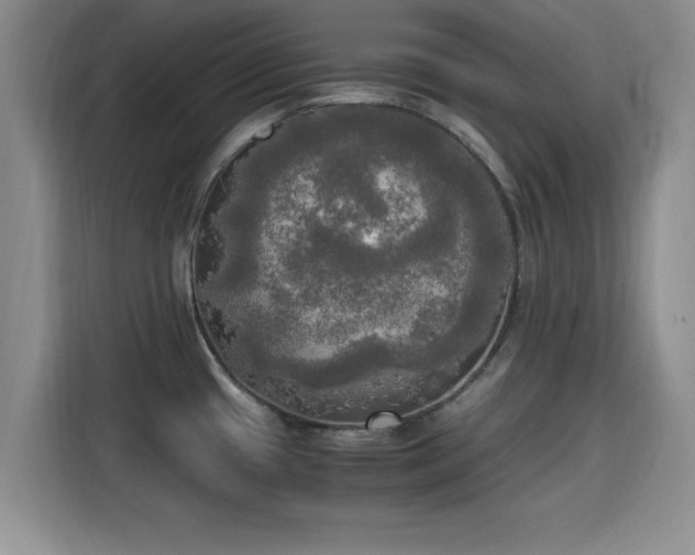 X0000115661433200911190956