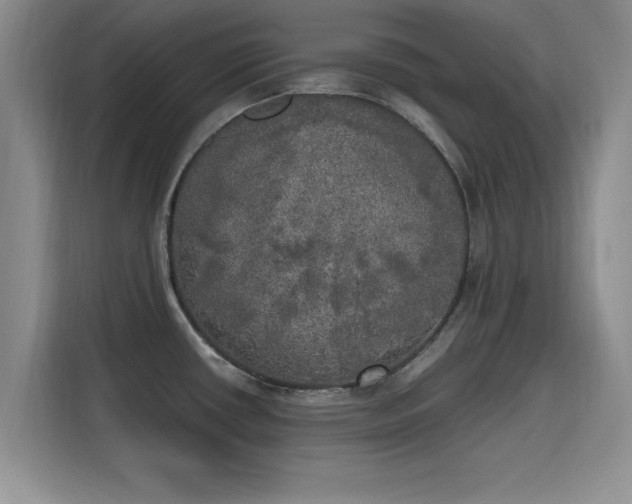 X0000115661434200911190956