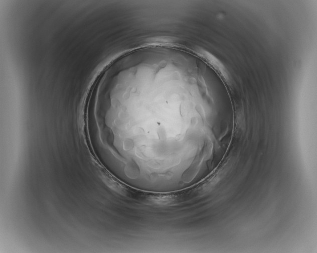 X0000115661435200911190956