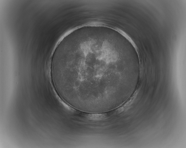 X0000115661437200911190956
