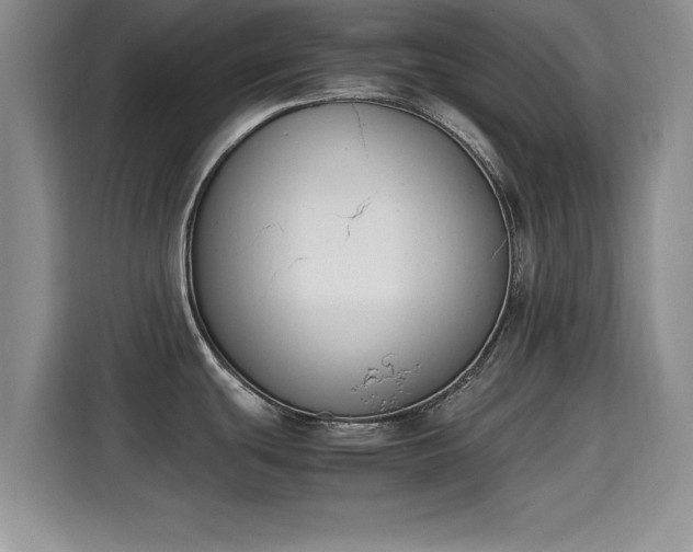 X0000115661439200911190956