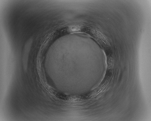X0000115661441200911190955
