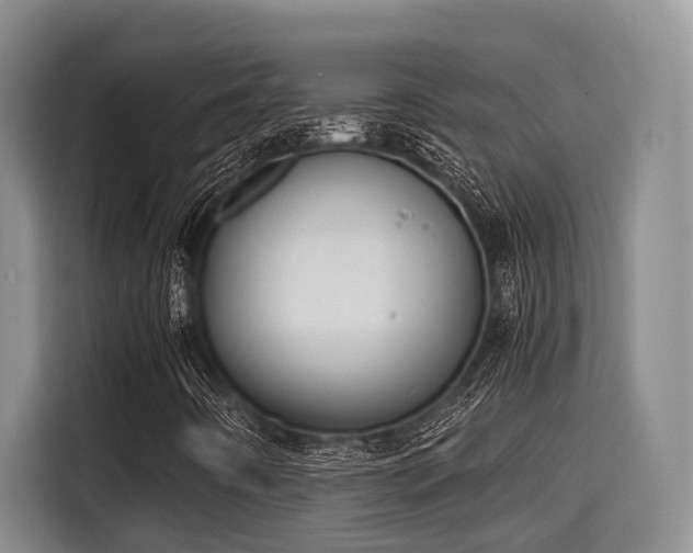 X0000115661442200911190955