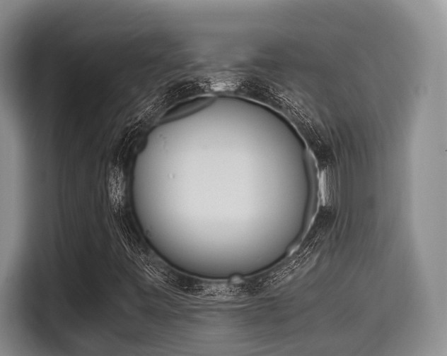 X0000115661443200911190955