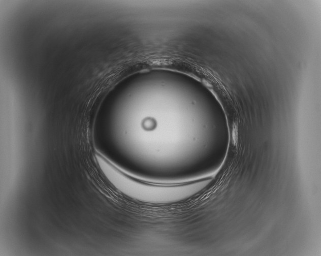 X0000115661444200911190955