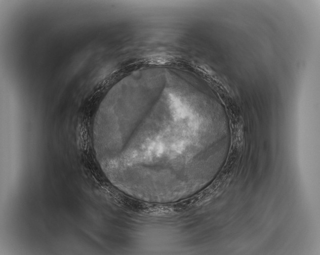X0000115661446200911190955