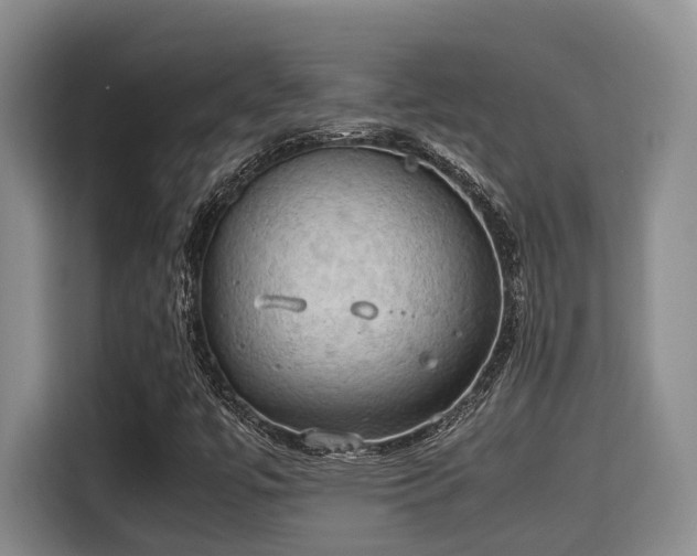 X0000115661447200911190955