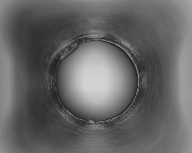 X0000115661448200911190955