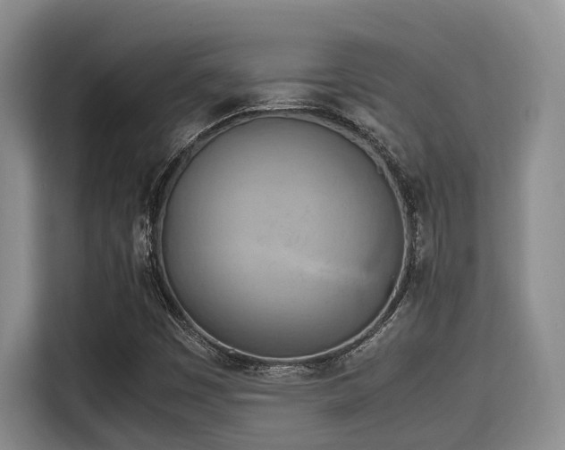 X0000115661449200911190955