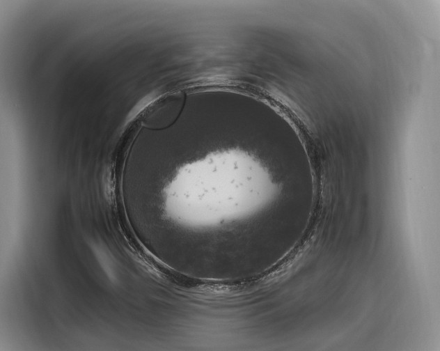 X0000115661450200911190955