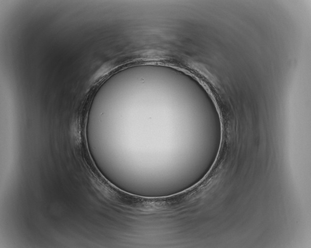 X0000115661451200911190955