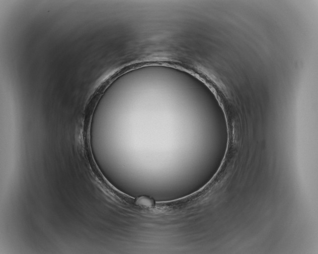 X0000115661452200911190955