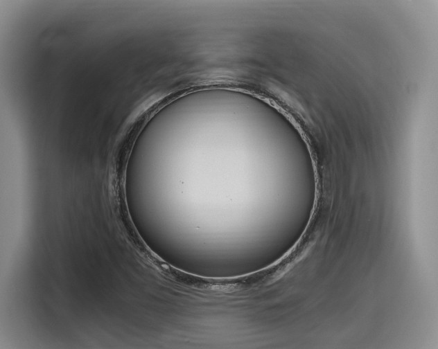 X0000115661453200911190955