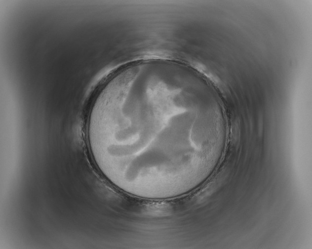 X0000115661454200911190955