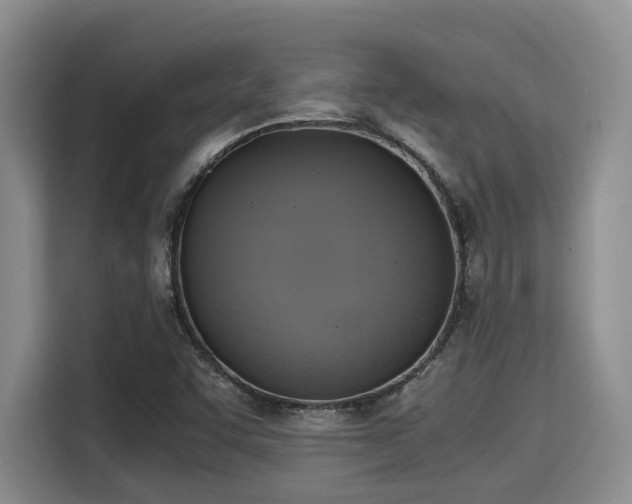 X0000115661455200911190955