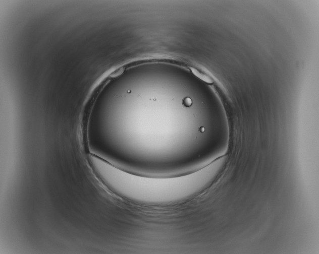 X0000115661460200911190955