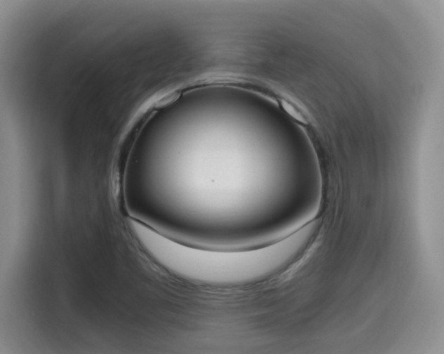 X0000115661461200911190955