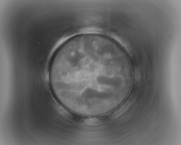 X0000115661462200911190955