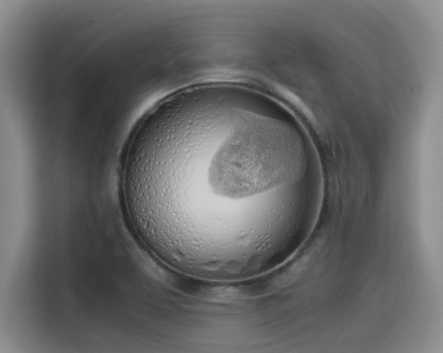 X0000115661463200911190955