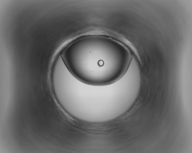 X0000115661464200911190955