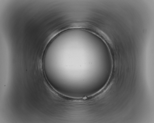 X0000115661465200911190955