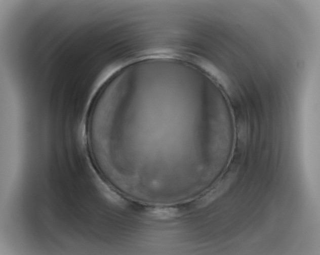 X0000115661466200911190955