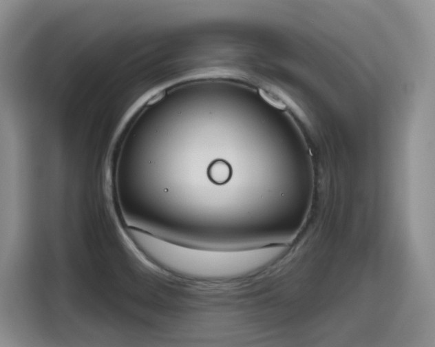 X0000115661468200911190955
