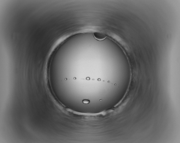 X0000115661469200911190955