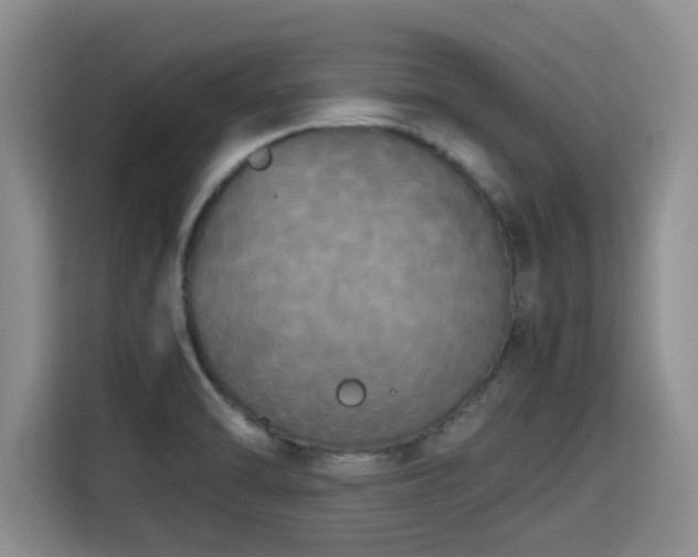 X0000115661470200911190955