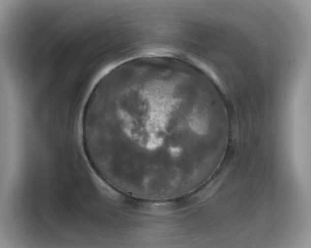X0000115661471200911190955