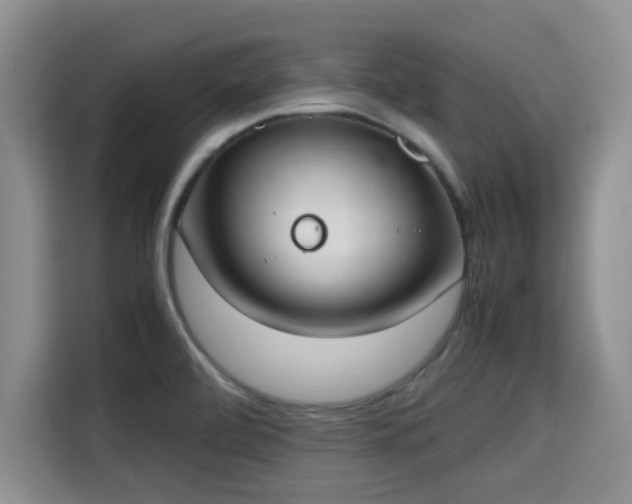 X0000115661472200911190955