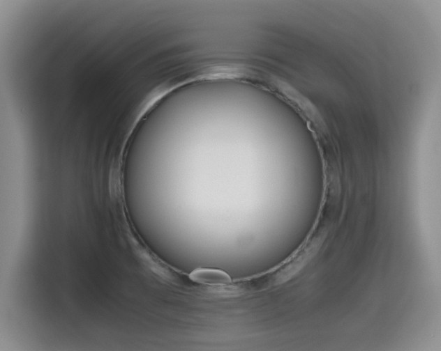 X0000115661473200911190955