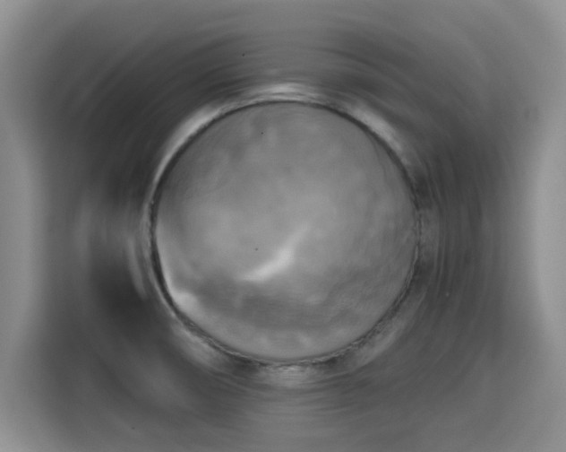 X0000115661474200911190955